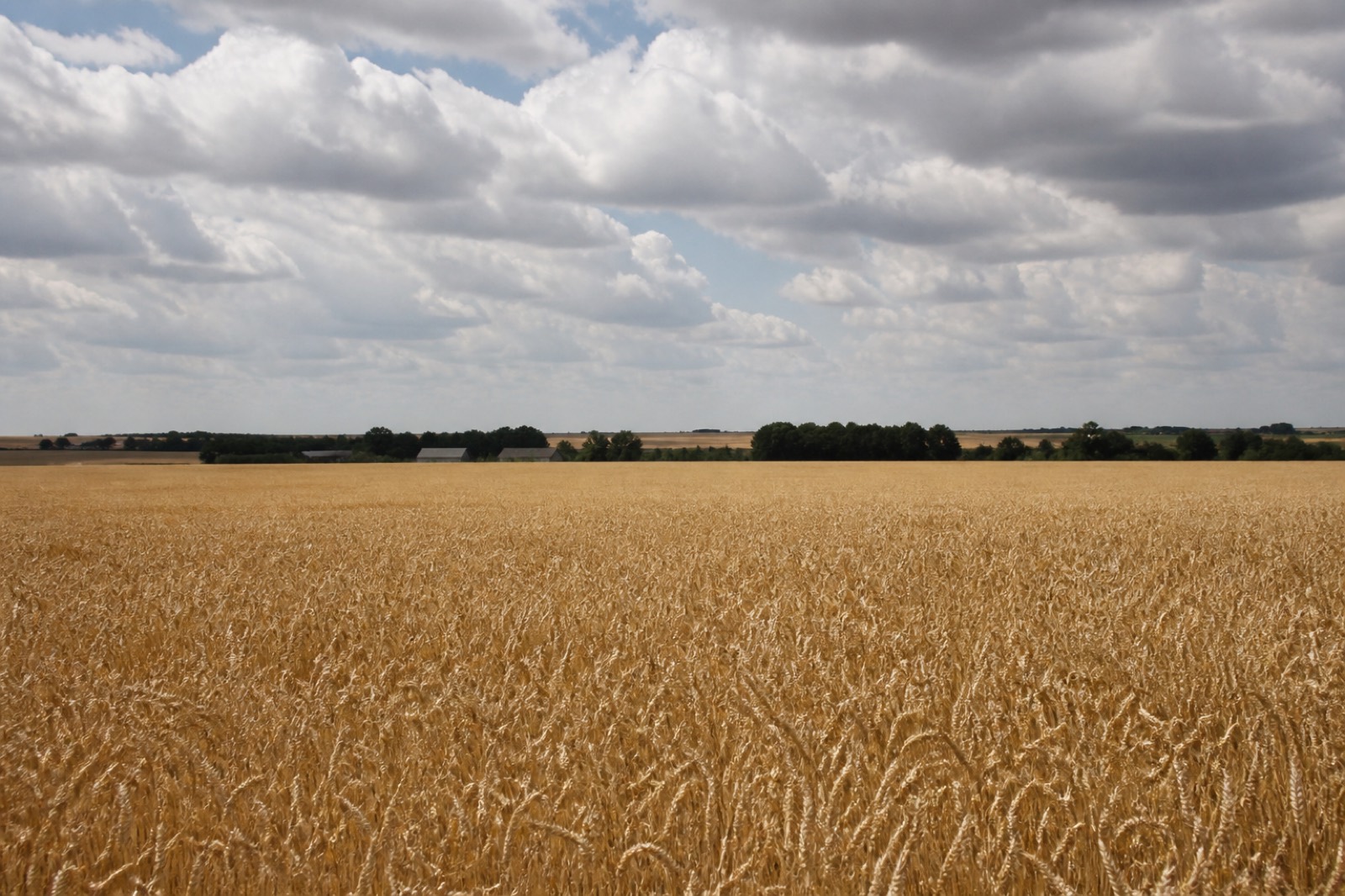 Campagne agricole de Beauce, où l’accès aux soins recule avec la densité médicale.